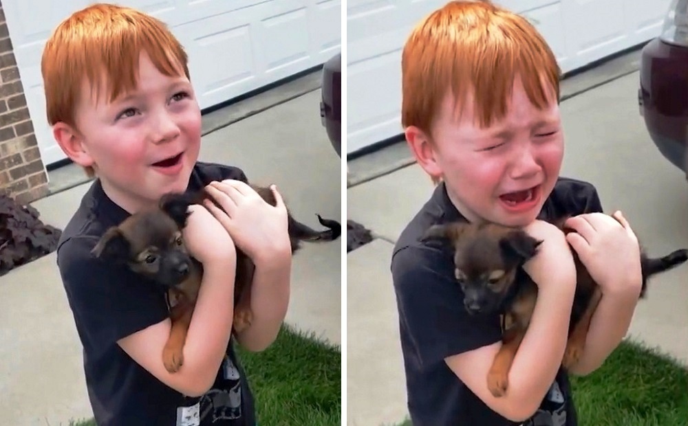 SoloPerros3's tweet photo. Niño llora lágrimas de alegría cuando su familia lo sorprende con un cachorro https://t.co/vd2EIBmf29
#perros #niños #perrito https://t.co/o3O1xvid15
