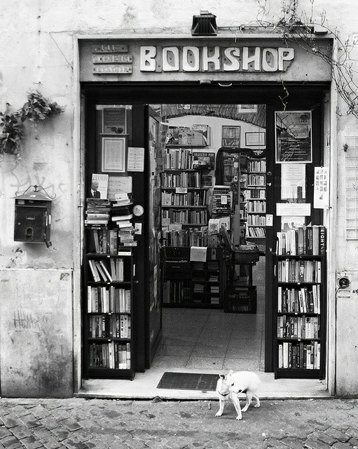 Of Books & Serendipity Often we wander into an old bookshop with no titles in mind, with a sense of discovery like sailing into a terra incognita. And when we finally hold that serendipitous book, we wonder if instead of just finding it, it was meant to find us all along.