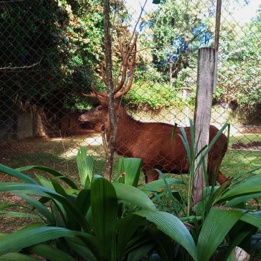 petitorage's tweet photo. ♡ 23.04.23 

Dia de zoológico! https://t.co/ZzA0xIiMip