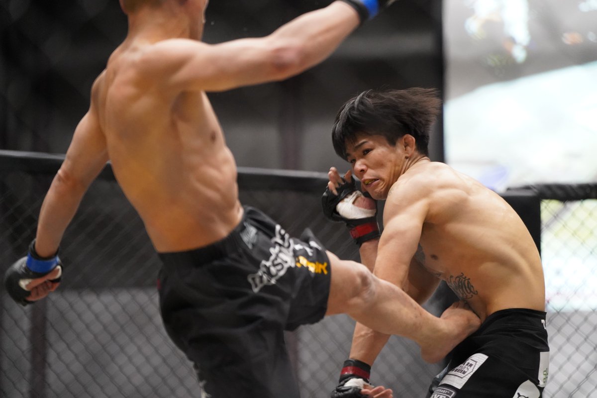 Gigio_jp's tweet image. プロ修斗香川大会 FORCE 17
メインイベント フライ級 5分2R
高岡宏気（FORCE GYM）
蒔田伸吾（TKエスペランサ）
#shooto0423 #FORCE17 

◎ツイキャス
twitcasting.tv/c:force_tns/sh…