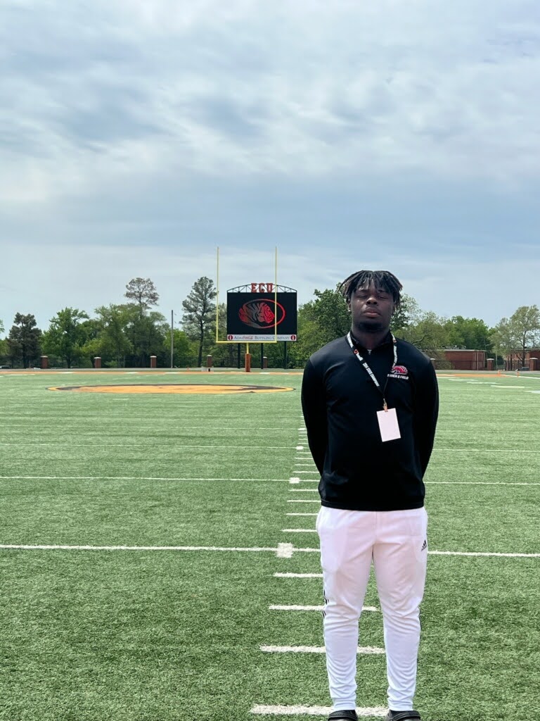 harvard essay writing service