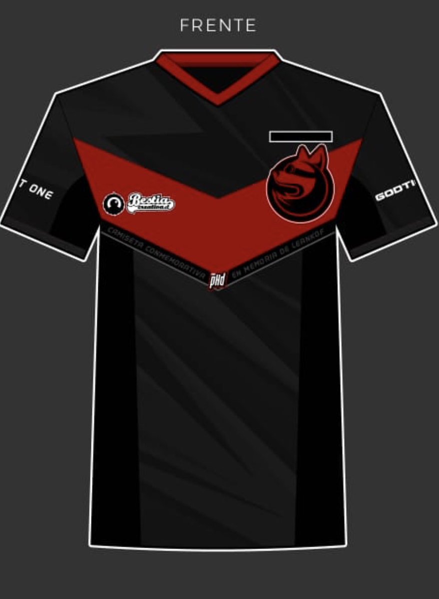 team_phdesports's tweet photo. Acá tenemos la camiseta conmemorativa de nuestro hermano Leankof, donde quiera que estes amigo, un gran abrazo y seguiremos con todo este 2023.

@WrightOneFGC @ChileFighter https://t.co/YTLbJaRfTY
