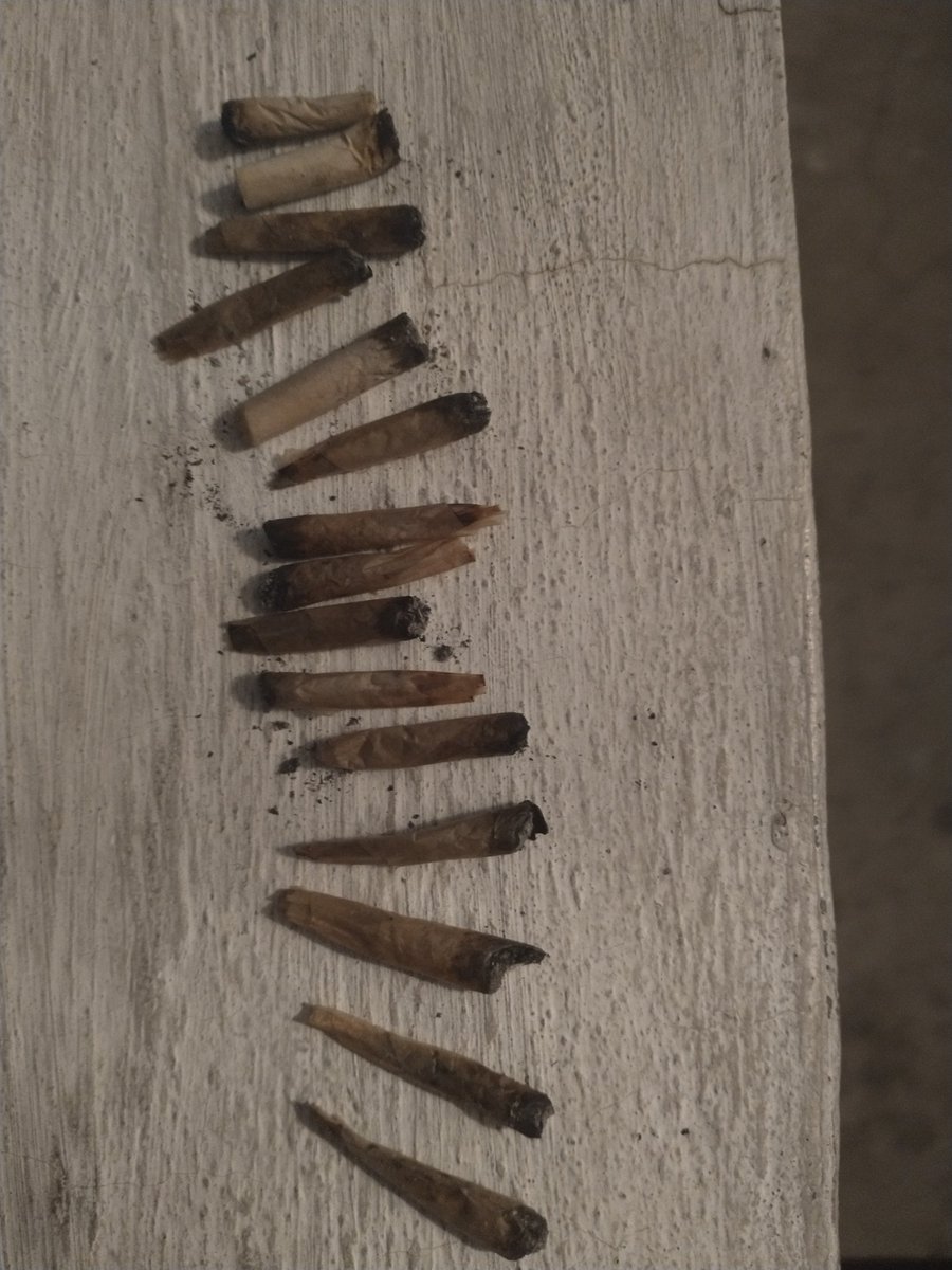 HalfBakedJa's tweet photo. Y'all save your spliff tails? https://t.co/3uh2hDOiZP