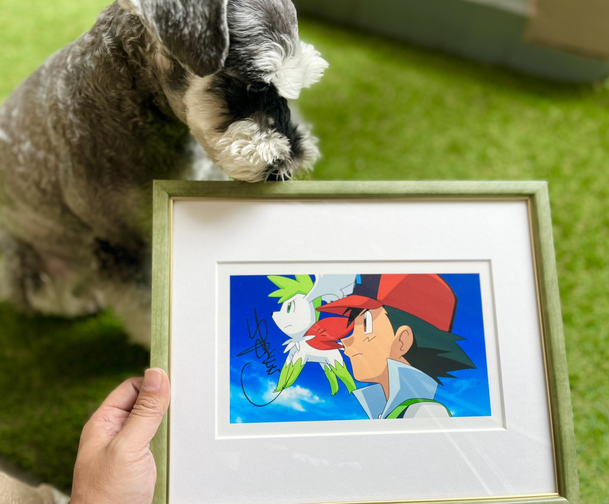 ポケモン 複製原画 湯山邦彦 直筆サイン入り ポケットモンスター湯山