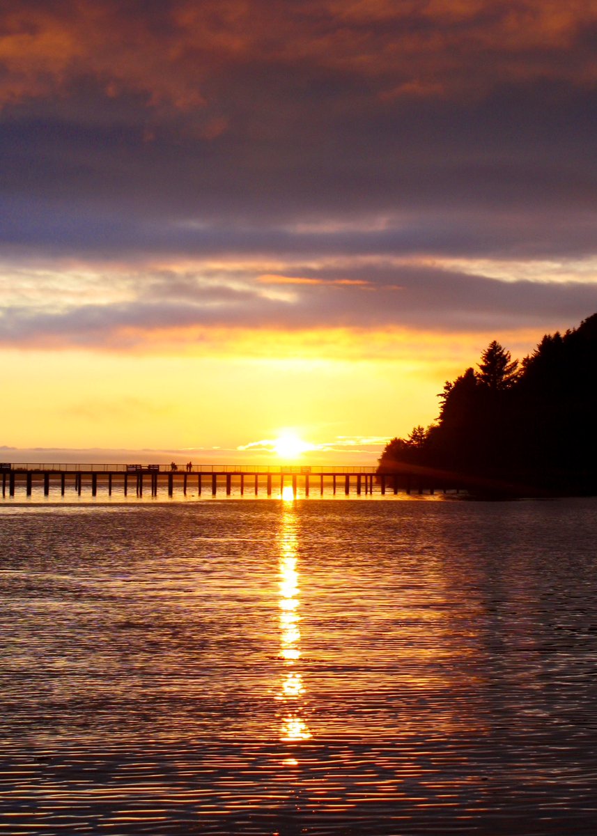 Thundercatt99's tweet photo. threads between us
stitched together
by strands of longing
disentangle
the sun must have set
while we were talking
#APoemADayChallenge #prompt “threads between us” #writing #poetry #love #photography #Girabaldi #sunset https://t.co/lVdoxW0Dtv
