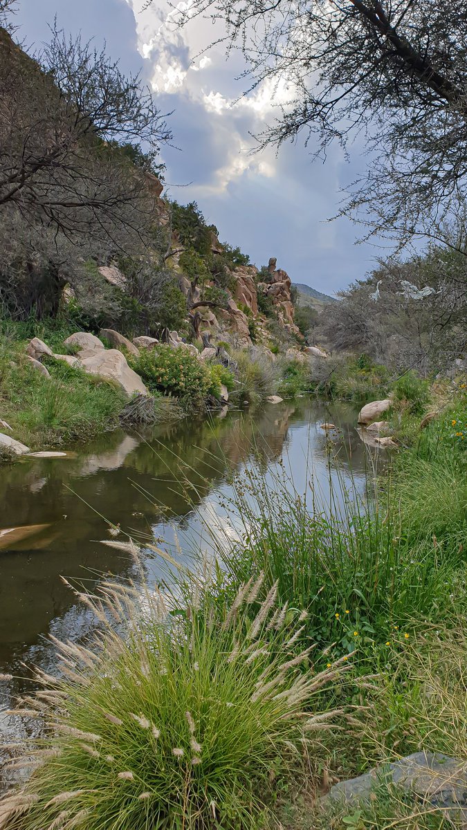 trk2233's tweet photo. #الطايف_الان https://t.co/MBjvPRSdiS