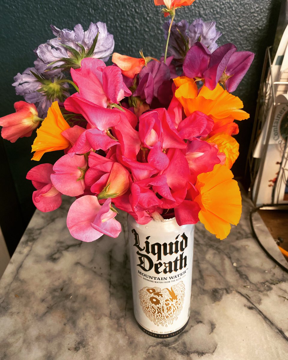 Not only is <a href="/LiquidDeath/">Liquid Death</a> an awesome water company, their cans also double as a vase when taking flowers to your client! #reuse #landscapedesign