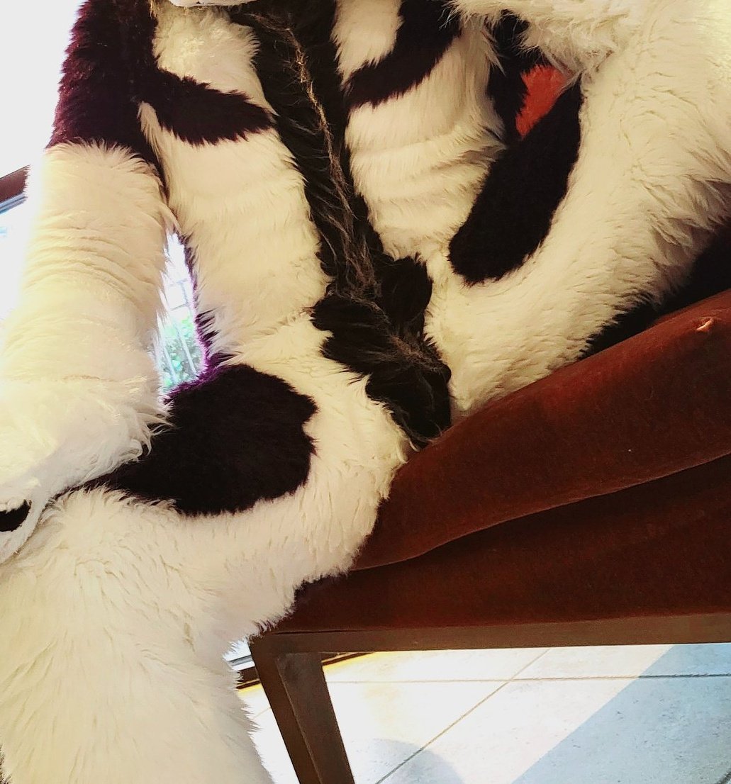 fursuit-crotch-on-twitter-fursuit-butts-are-cool-and-all-but-what