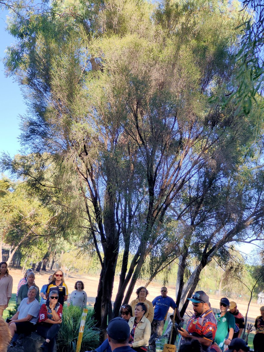 debimoa's tweet photo. Love the yarning circle at the primary school #welcometocountry 🖤💛❤️ #SDDT223 
#connectingtocountry https://t.co/TmaIGZwtCC