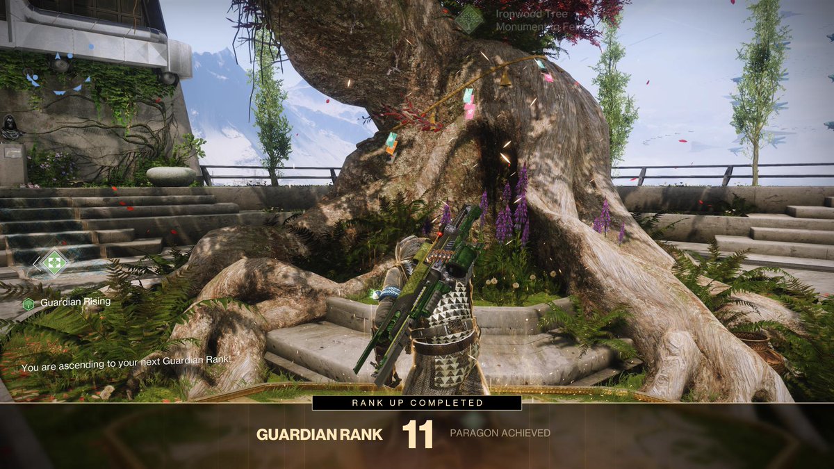 Rank 11 #PS5Share, #Destiny2