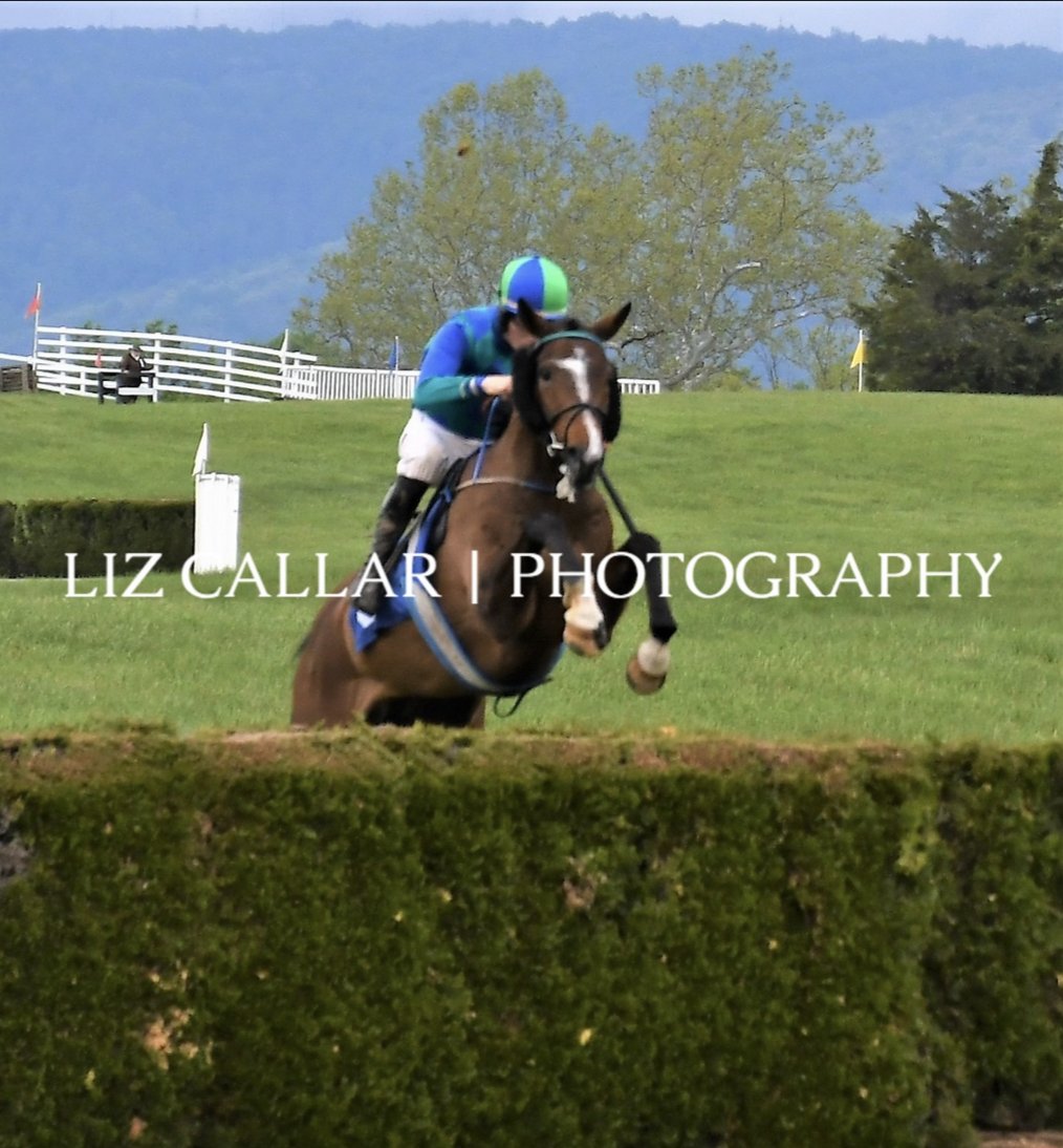 AshwellStable's tweet photo. @MDHuntCup nomination anyone 👀👀 

Did that easy 🔥🔥

#steeplethon #FASTVISION #timber #horsefirst #LeipersForkSteeplechasers #YoungRacing

@LeslieYoung1 @HamishMacauley @horsefirst @MiddleburgRaces @HarrisonBeswick https://t.co/sE1CCjqlpx
