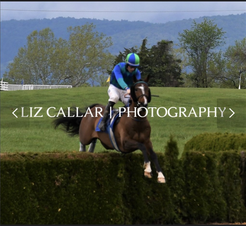 AshwellStable's tweet photo. @MDHuntCup nomination anyone 👀👀 

Did that easy 🔥🔥

#steeplethon #FASTVISION #timber #horsefirst #LeipersForkSteeplechasers #YoungRacing

@LeslieYoung1 @HamishMacauley @horsefirst @MiddleburgRaces @HarrisonBeswick https://t.co/sE1CCjqlpx