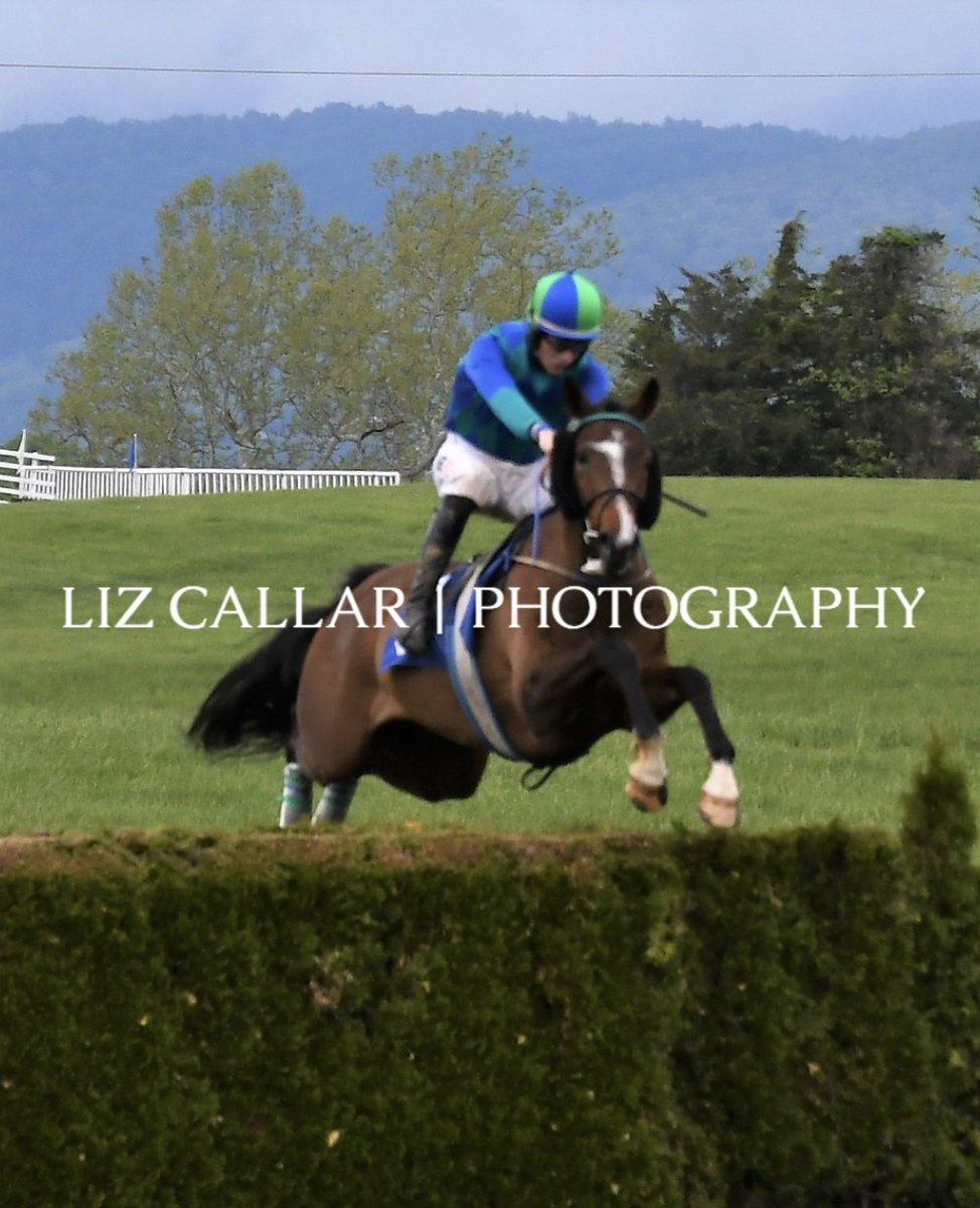 AshwellStable's tweet photo. @MDHuntCup nomination anyone 👀👀 

Did that easy 🔥🔥

#steeplethon #FASTVISION #timber #horsefirst #LeipersForkSteeplechasers #YoungRacing

@LeslieYoung1 @HamishMacauley @horsefirst @MiddleburgRaces @HarrisonBeswick https://t.co/sE1CCjqlpx