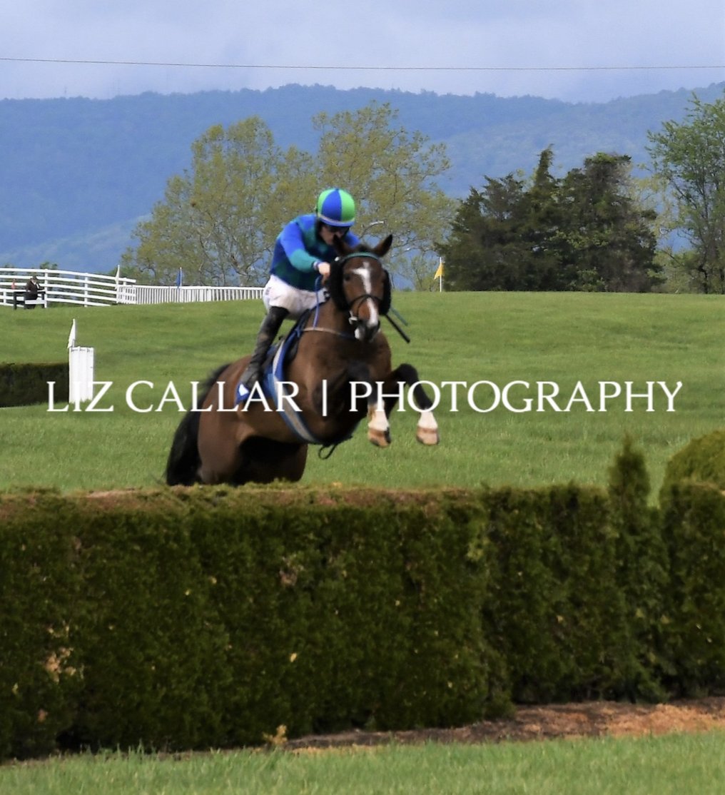 AshwellStable's tweet photo. @MDHuntCup nomination anyone 👀👀 

Did that easy 🔥🔥

#steeplethon #FASTVISION #timber #horsefirst #LeipersForkSteeplechasers #YoungRacing

@LeslieYoung1 @HamishMacauley @horsefirst @MiddleburgRaces @HarrisonBeswick https://t.co/sE1CCjqlpx