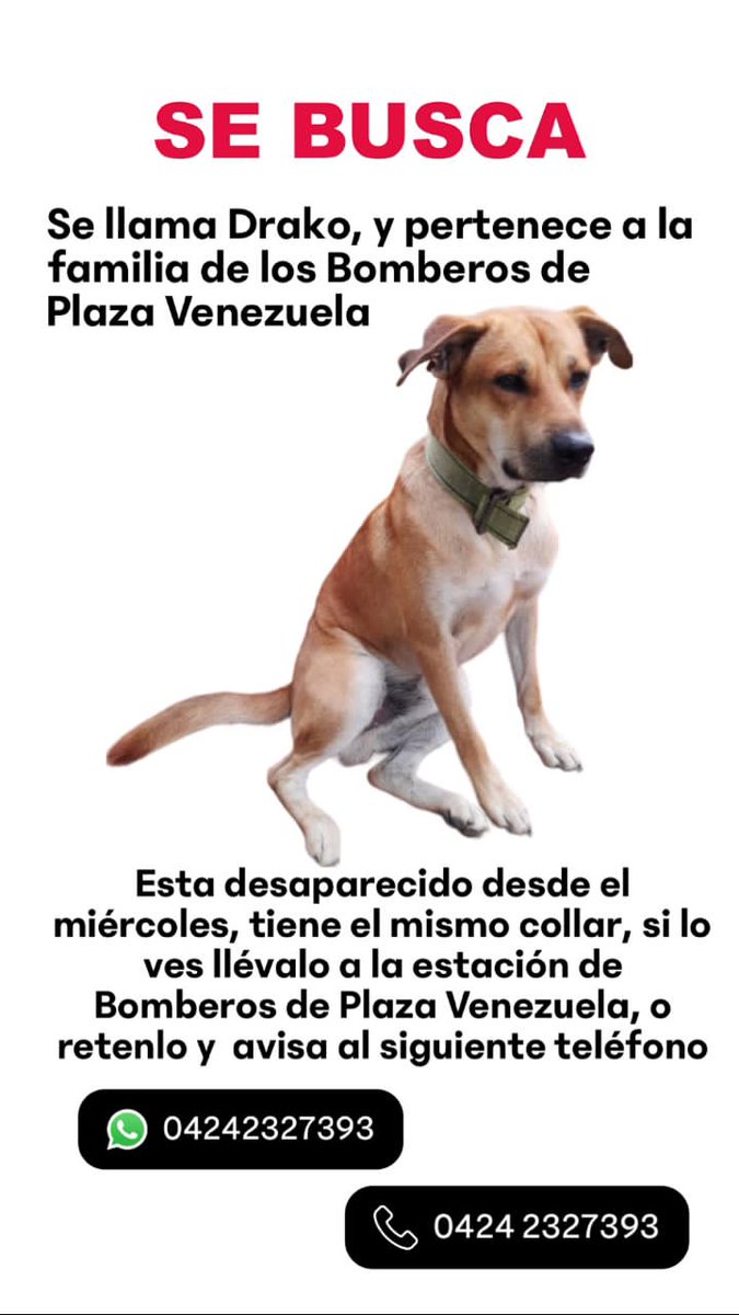 a_my_08's tweet photo. Favor Difundir. https://t.co/Jy1PktUVdp