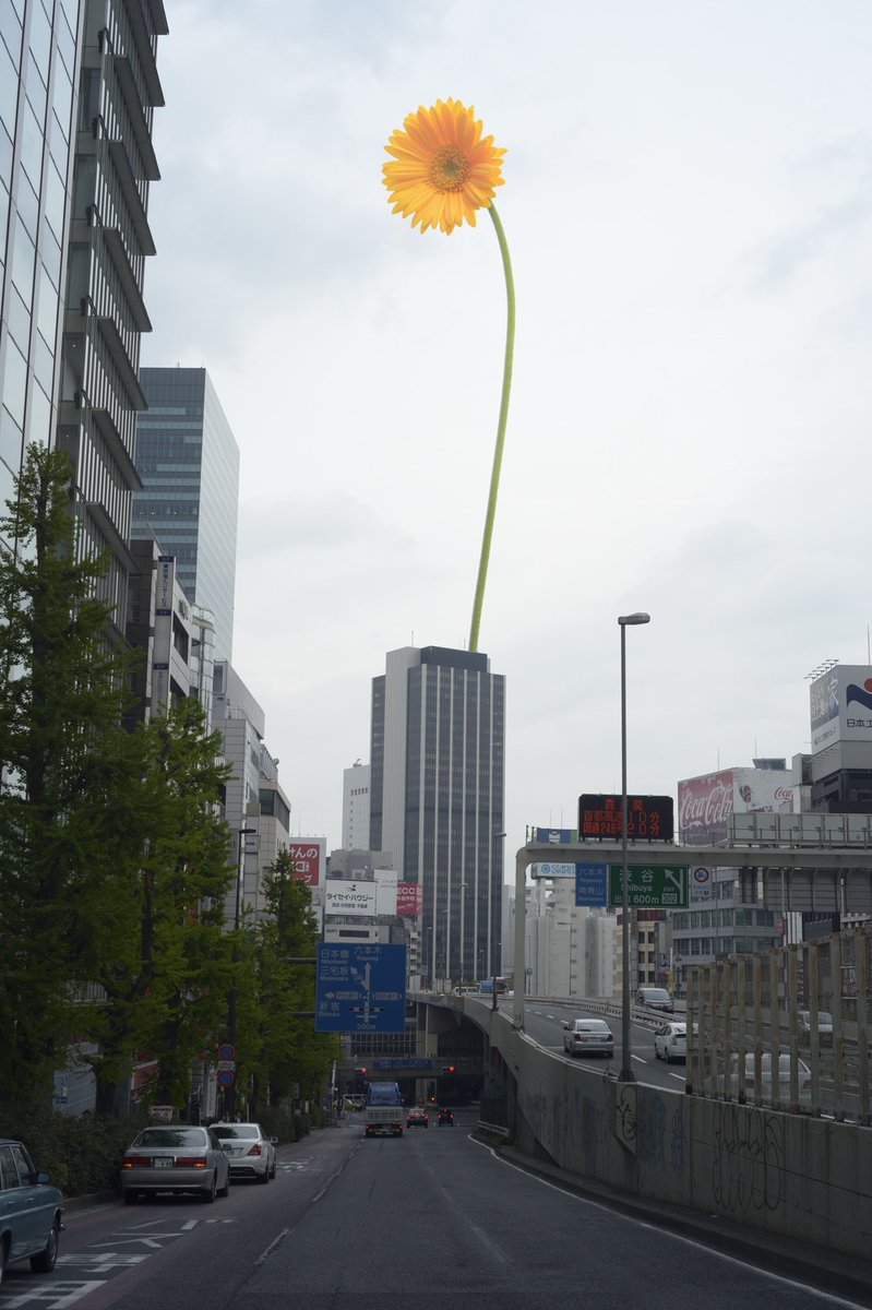 gachaman6969's tweet photo. photo  2013 
#tokyovase 
#nftopensea 
#artwork
#flowerphotoshoot
#architecturalphotograph
#tokyo 
#トーキョー https://t.co/MEsvpaGOgM