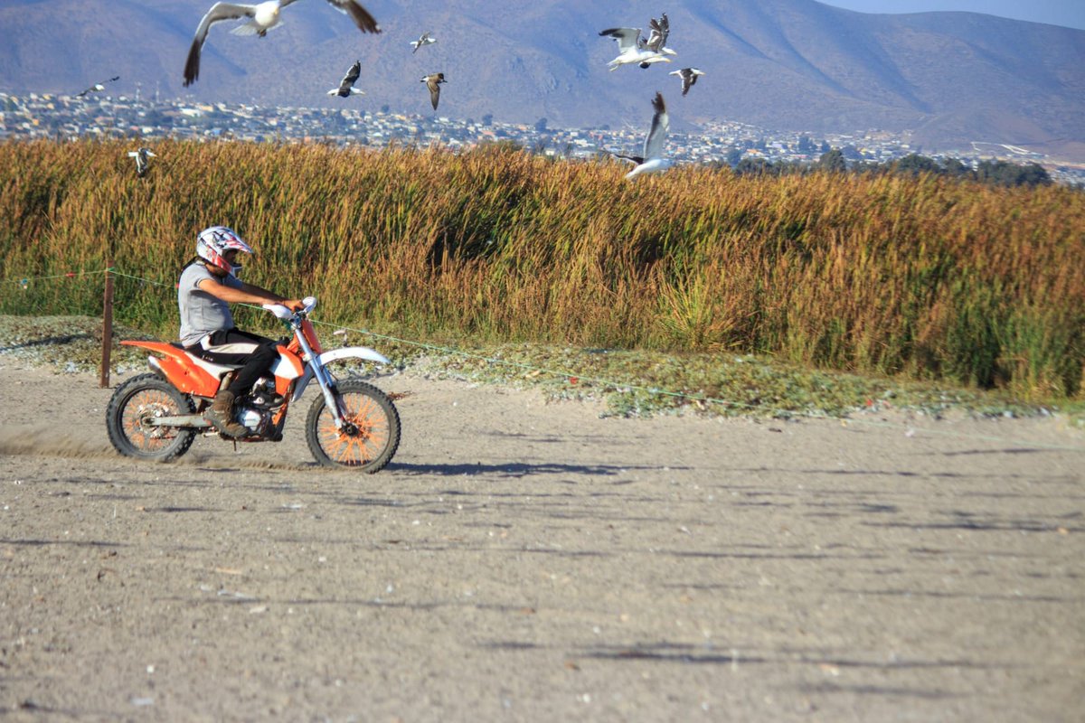 ONG Elqui Verde tweet media