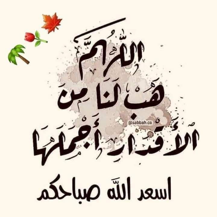 sayed_ganem's tweet photo. @ash12566 https://t.co/39R8jd60xg