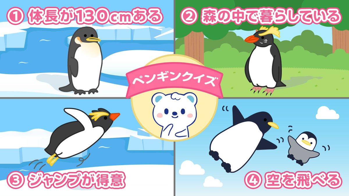 今日は #世界ペンギンの日 なので、ペンギンさんのクイズをするですʕ๑