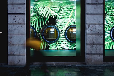 whitedovecrafts's tweet image. Photo By Yunming Wang | Unsplash 
 #recordingarts #animalart #windowdisplays #artcon #metropolitanmuseumofart