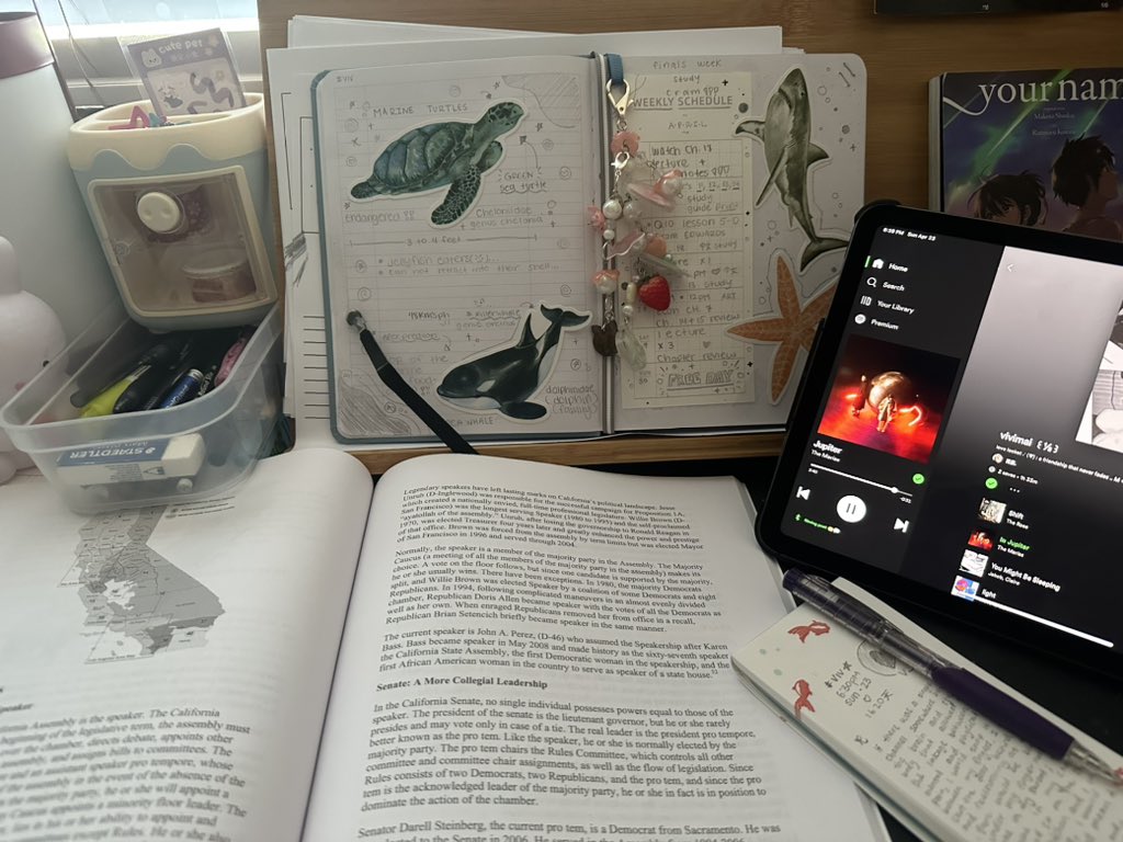 vena .ᐟ tweet media