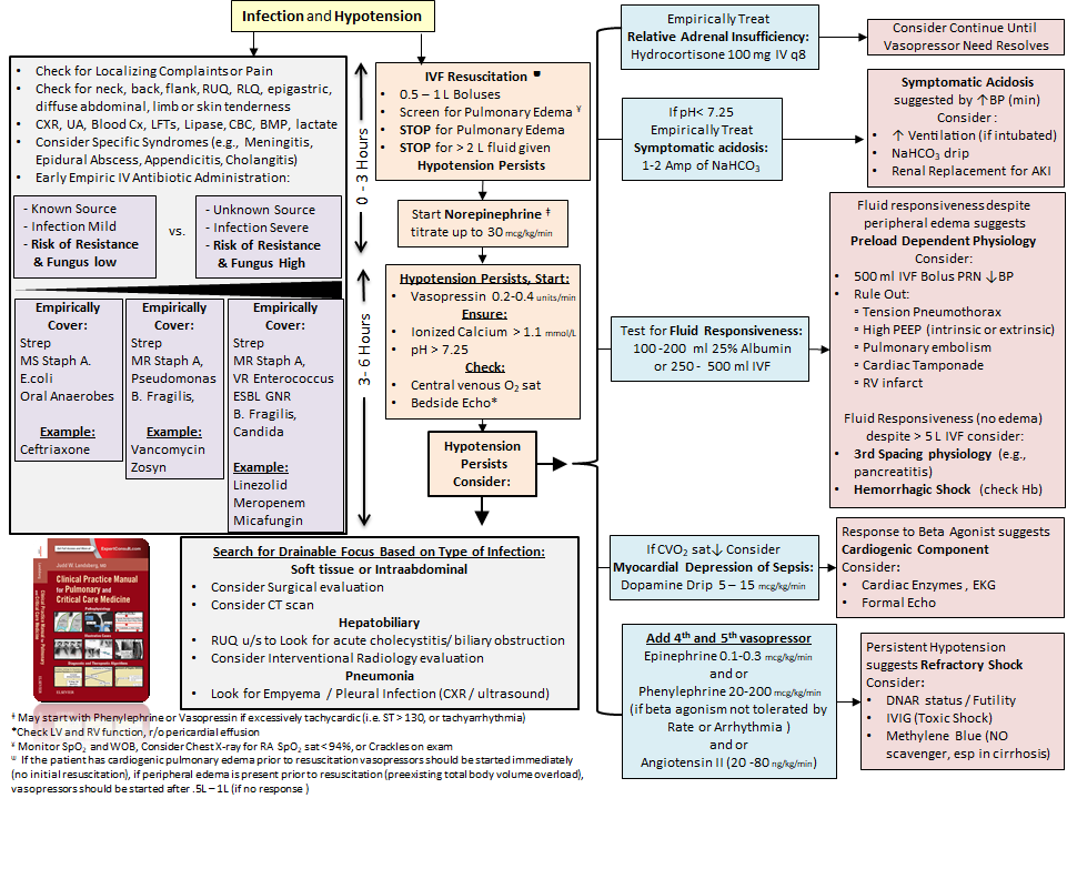 LandsbergManual's tweet photo. Initial Evaluation and Management of Septic Shock
#sepsis #SHOCK #emergencymedicine #MedEd
#MedTwitter #hospitalist #internalmedicine #criticalcare #pulmonary #infectiousdiseases #pccm #nurse PRTIYL https://t.co/fQ2yccu3xK