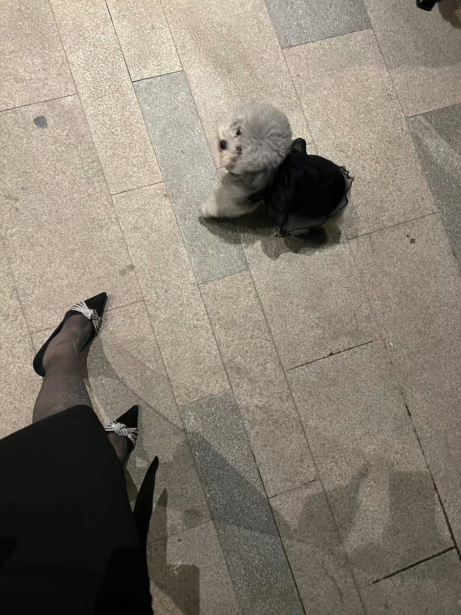 我和我的🐶 https://t.co/NETXXohAkc