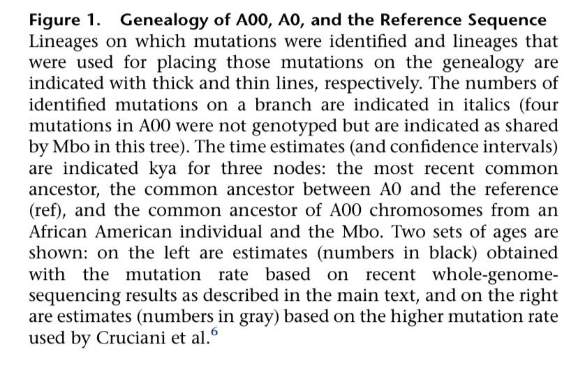 anarcho_app's tweet image. cell.com/action/showPdf…