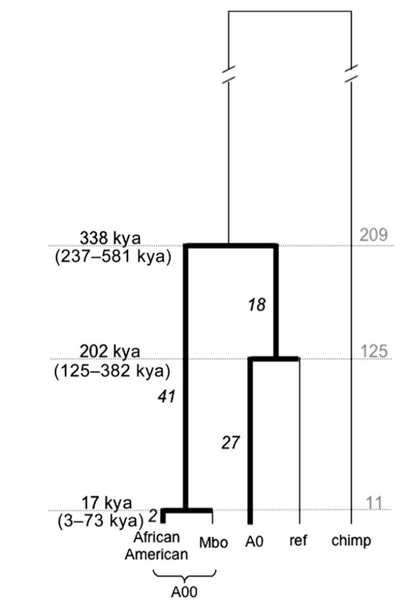 anarcho_app's tweet image. cell.com/action/showPdf…