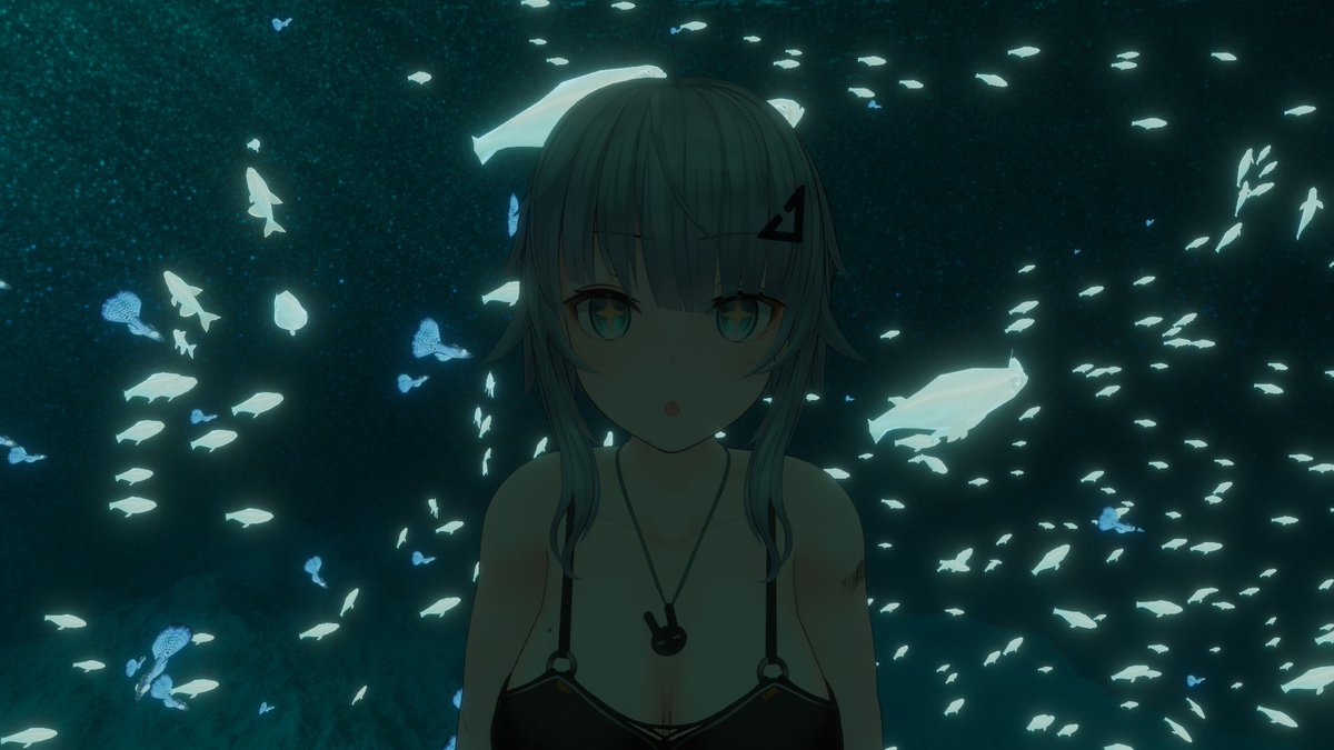 nekoyamatoさんと海巡り 