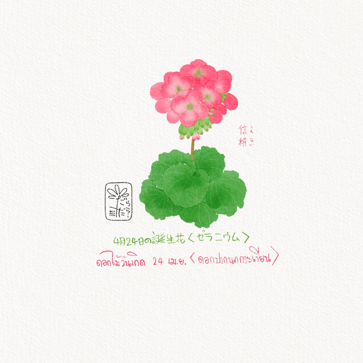 daradaRatto17's tweet photo. ดอกไม้วันเกิดประจำวันที่ 24 เมษายน
“ดอกปากนกกระเรียนหรือเจอราเนียม”
ญปทับศัพท์ว่า เซะระนิอุมุ
ภาษาดอกไม้คือ ความไว้วางใจ https://t.co/JLnHpeeQki