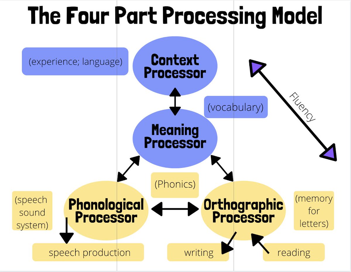 Mrs_Powell1's tweet photo. #Reading is not a natural behavior, it is a learned behavior. Understanding how the brain learns to read is the best way for us to help our students become better readers. #READ4384 https://t.co/YYp5QBw5Wv