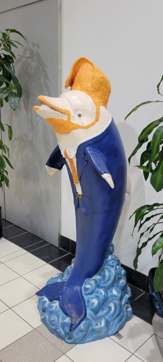 Brian Reed tweet media