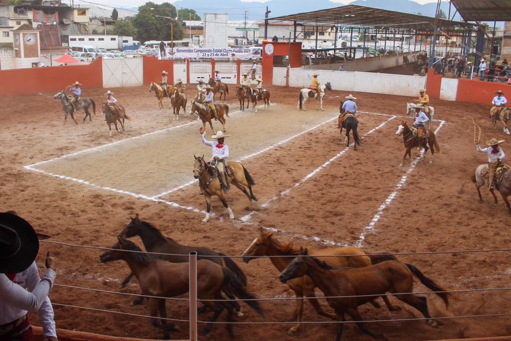 #CampeonatoEstatalCharro2023 | Acompañamos a las familias al 2do. día de competencias, mi reconocimiento para la Unión de Asociaciones de Charros del Estado de Puebla así como para la Asociación de Charros de Zacatlán.