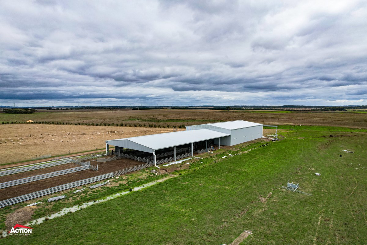 ActionSteel's tweet photo. Bruno and Lester recently visited site to get some photos of this Action Steel x @ProWay2000 build.
A 67.5m x 21m x 5.2m shearing shed and covered yards.
📍 Darlington VIC
#ActionSteel #BigSheds #ProWayAUS #shearing #shearingshed #sheepyards #wool https://t.co/FynATVpSmf
