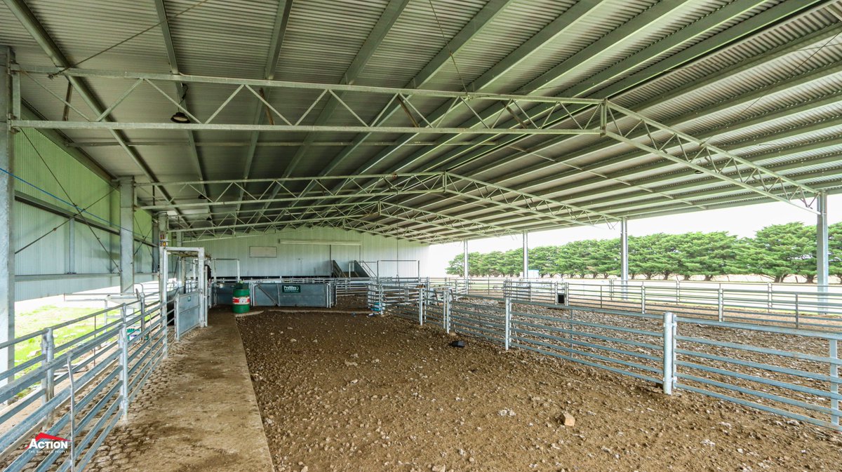 ActionSteel's tweet photo. Bruno and Lester recently visited site to get some photos of this Action Steel x @ProWay2000 build.
A 67.5m x 21m x 5.2m shearing shed and covered yards.
📍 Darlington VIC
#ActionSteel #BigSheds #ProWayAUS #shearing #shearingshed #sheepyards #wool https://t.co/FynATVpSmf