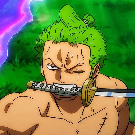 Zoro One Piece Icons  Roronoa zoro, Zoro, Anime