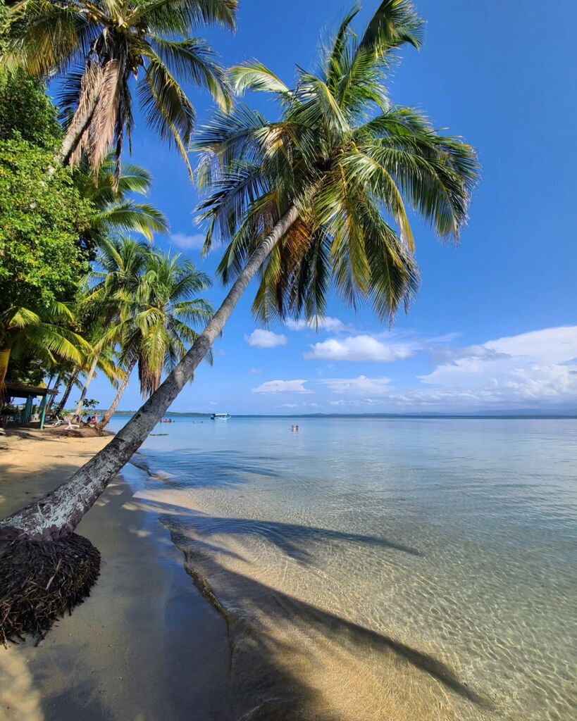 ruggedpassport's tweet photo. A beautiful day enjoying the sun at Playa Estrella, Bocas del Toro, Panama https://t.co/Ql4LH4cnae https://t.co/CNkzkljWKv