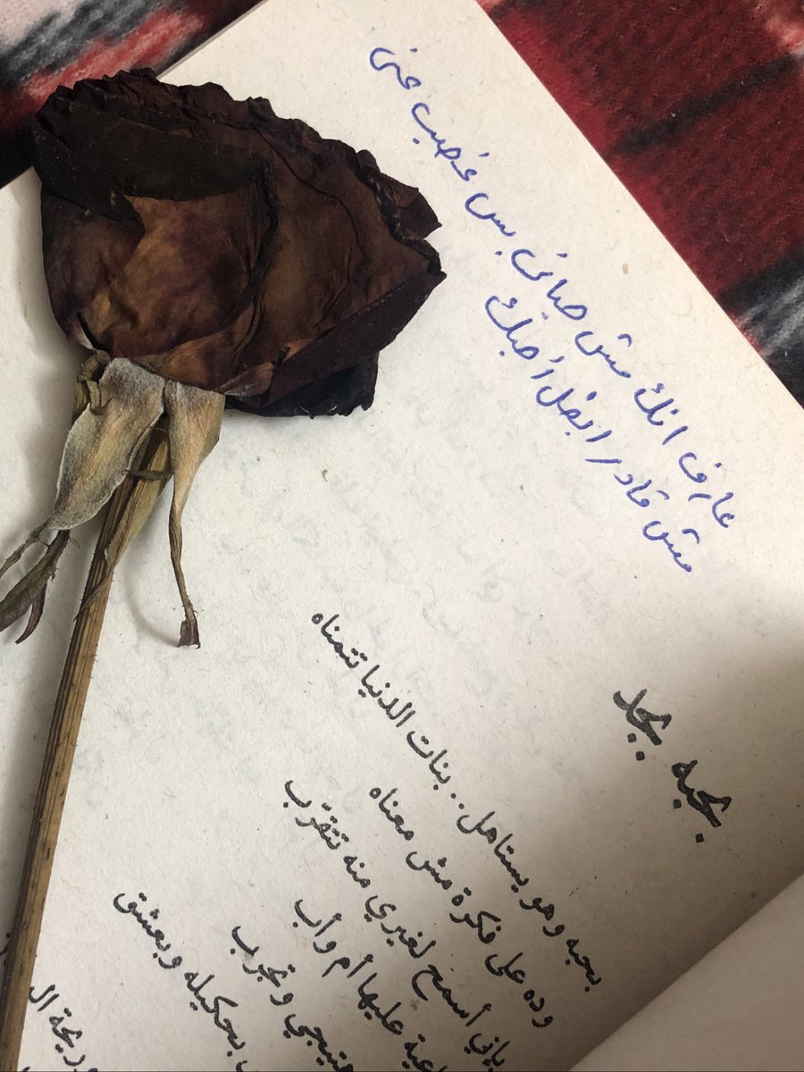 ayat_elsandoby's tweet photo. الرجاله لما بتحب بتفارق ب احترام وبتسيب ذكري حلوه مابتتنسيش مهما طال العمر . https://t.co/ZERFy0vmxh