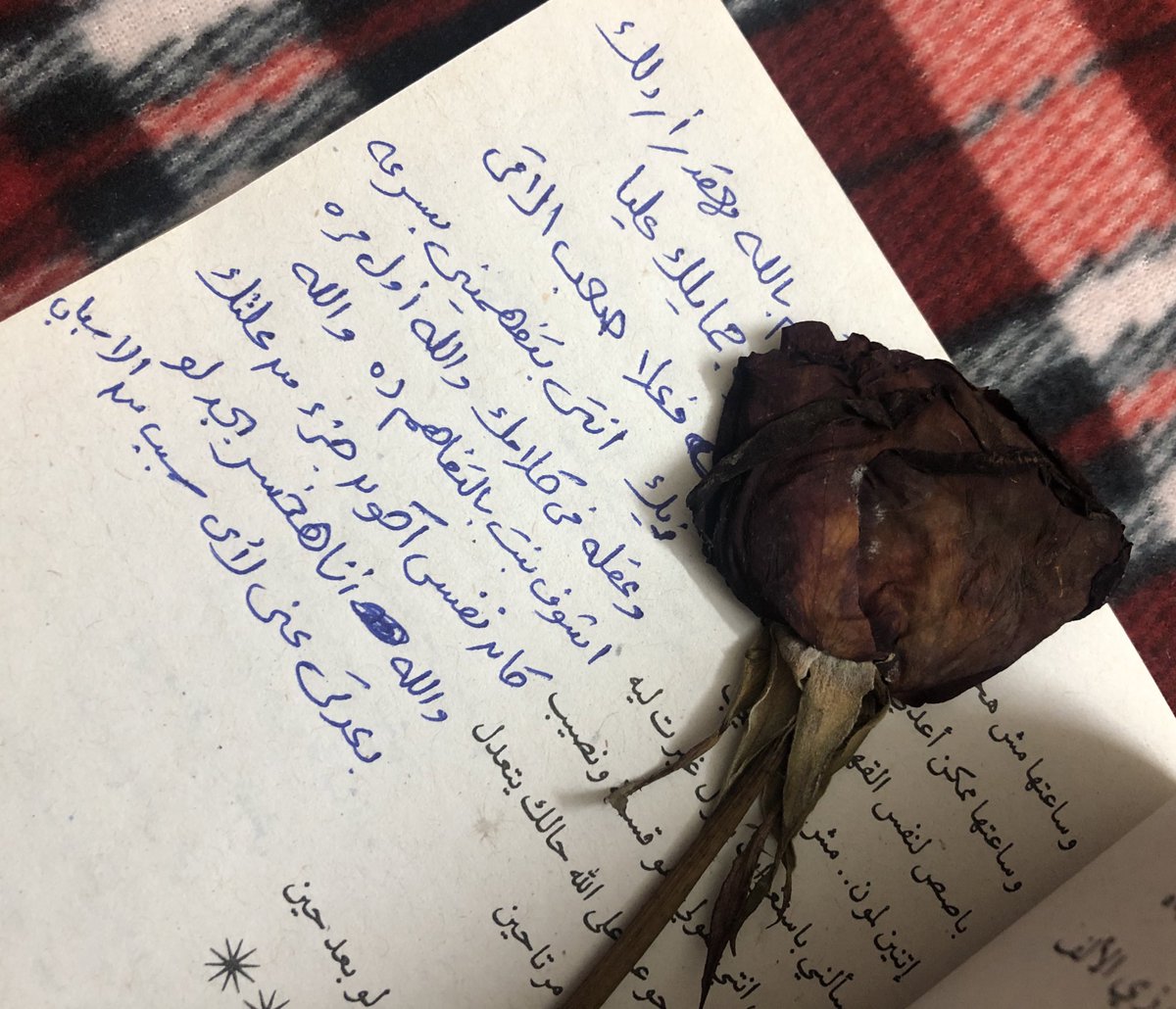 ayat_elsandoby's tweet photo. الرجاله لما بتحب بتفارق ب احترام وبتسيب ذكري حلوه مابتتنسيش مهما طال العمر . https://t.co/ZERFy0vmxh
