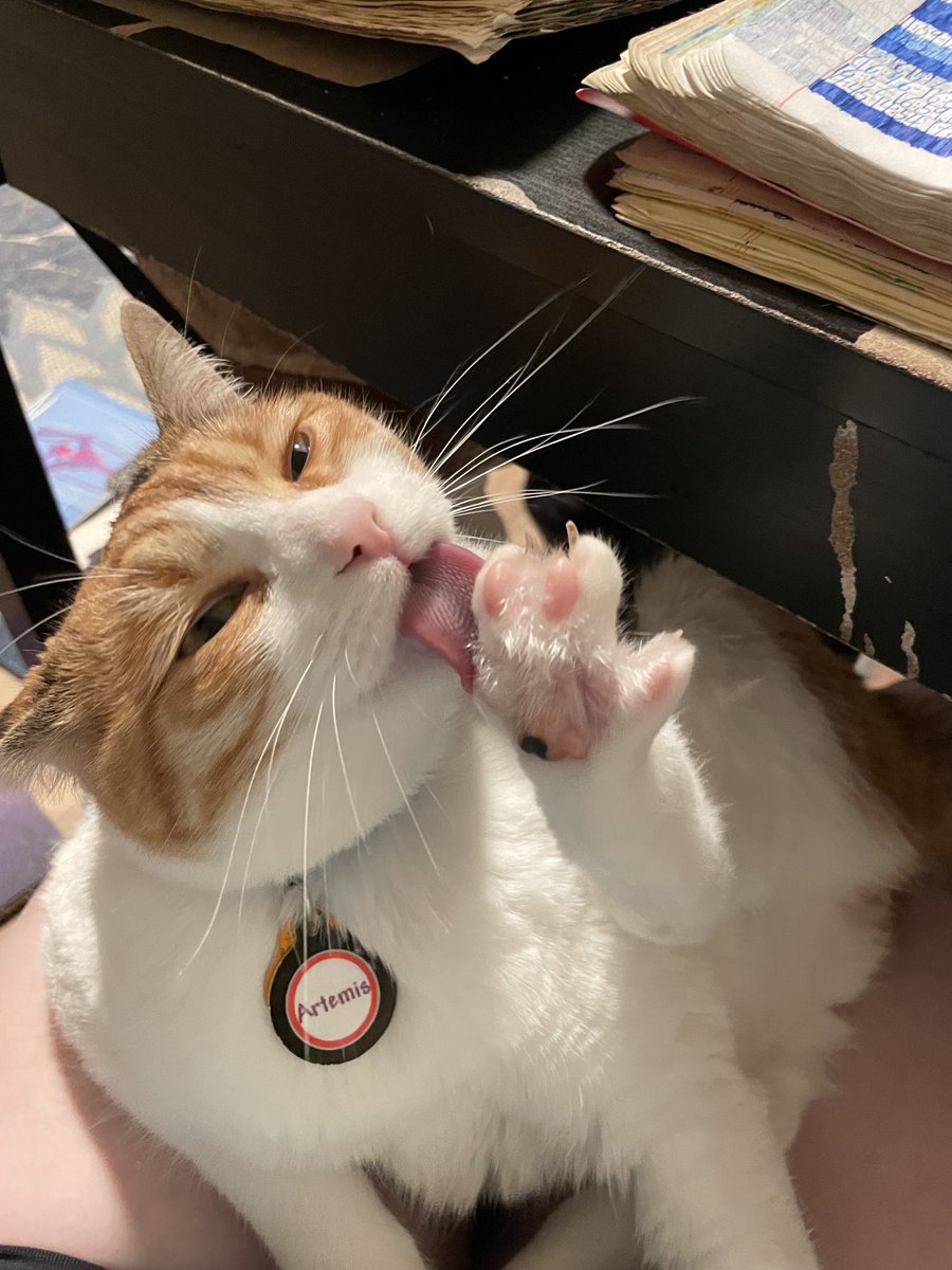 Shannon Kuznar, PhD (she/her) tweet media