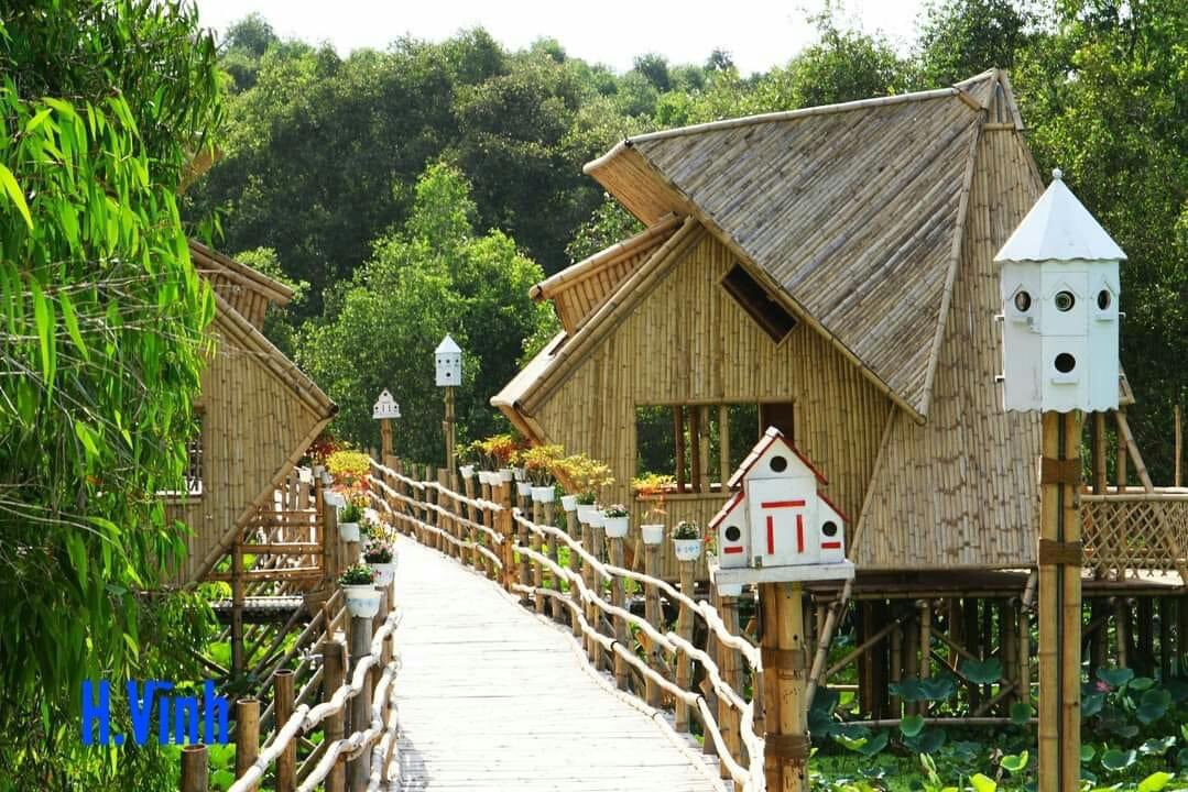 langthangAG's tweet photo. Rừng Tràm Trà Sư (Tịnh Biên, An Giang).

📸 Vĩnh Phạm Vĩnh
#rungtramtrasu #langthangangiang #trasu #vietnam #vietnamtravel https://t.co/eVpXMm4BYh