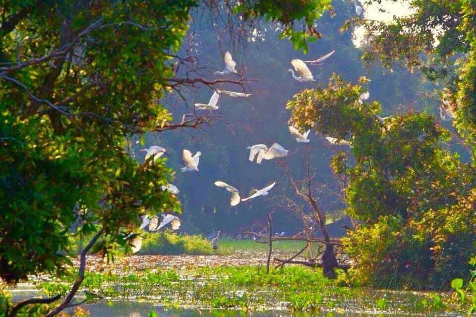 langthangAG's tweet photo. Rừng Tràm Trà Sư (Tịnh Biên, An Giang).

📸 Vĩnh Phạm Vĩnh
#rungtramtrasu #langthangangiang #trasu #vietnam #vietnamtravel https://t.co/eVpXMm4BYh