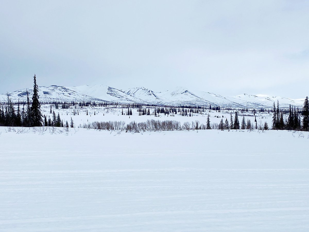 Robin Jones tweet media