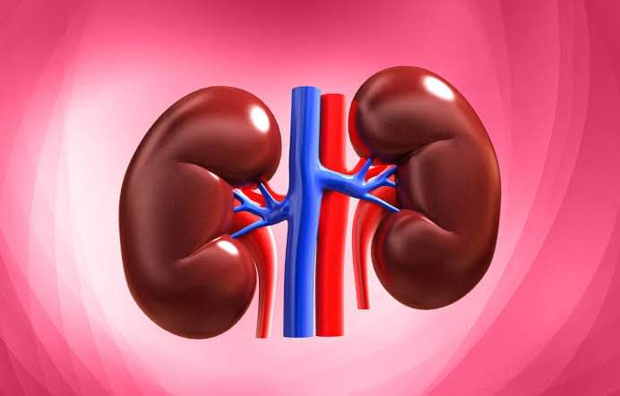 twiceulvr's tweet photo. siguro kaya dalawa kidney natin yung Isa para sa concert ng twice 😭 https://t.co/RmWGAMgCYn