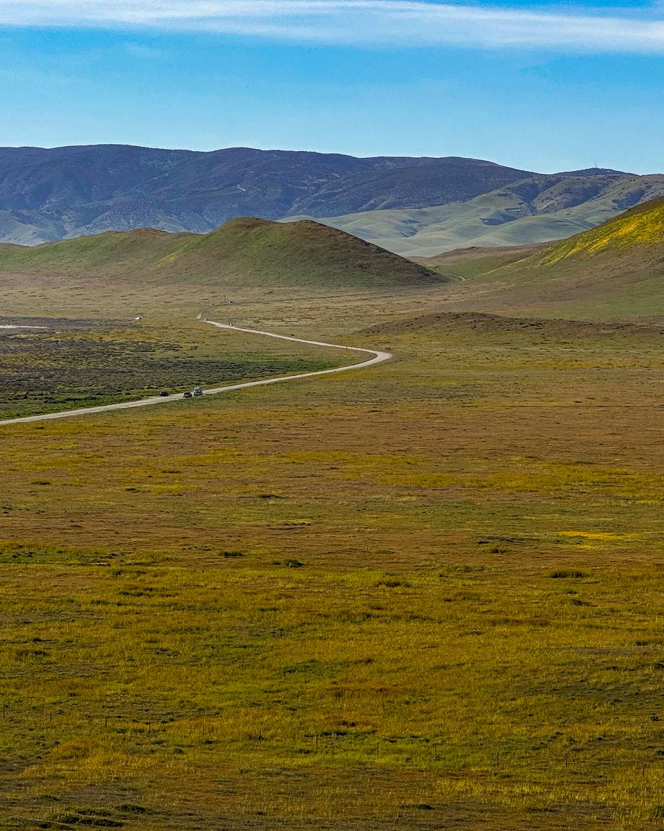 ashokaupadhya's tweet photo. Super bloom at Carrizo Plain National Monument, Santa Margarita, CA
#California #superbloom https://t.co/SCXyd5b5ys