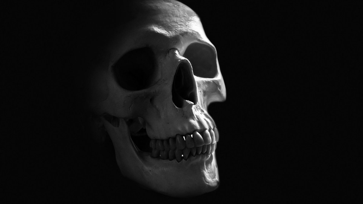 HumanEvolutionX's tweet photo. The first species in the human genus, Homo habilis, appeared around 2.8 million years ago. #evolution https://t.co/1fE4tiKjVr
