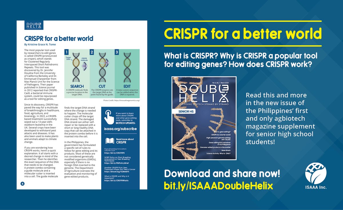 ISAAASciSpeaks's tweet photo. What is #CRISPR? Why is it a popular tool for editing genes? How does CRISPR work? Find the answers in the new issue of Double Helix: https://t.co/g3T9d68x4z #DoubleHelixMagazine https://t.co/ykcMlluOmb
