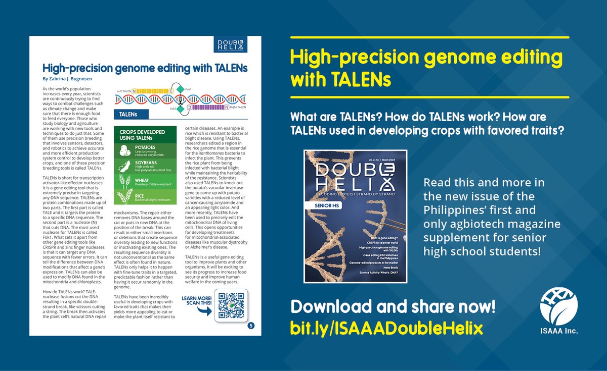 ISAAASciSpeaks's tweet photo. What are #TALENs? How are TALENs used in developing crops with favored traits? What are the crops developed using TALENs? Find the answers in the new issue of Double Helix: https://t.co/g3T9d694U7 #DoubleHelixMagazine https://t.co/ujXUF8Y8GU
