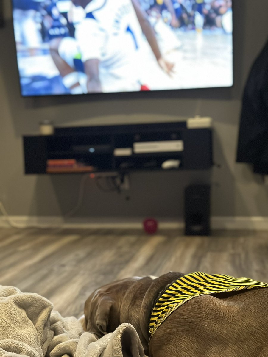 themamahagan's tweet photo. Tonight we watch @nuggets I’ve still not found a pattern, so navy and yellow is what we got for his gear!
Nuggets lead at half. He’s okay with that, just okay. #gonuggetsgo #greatdane #mrhandsome https://t.co/aaDDiYt93Q
